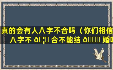 真的会有人八字不合吗（你们相信八字不 🦅 合不能结 🍁 婚吗）